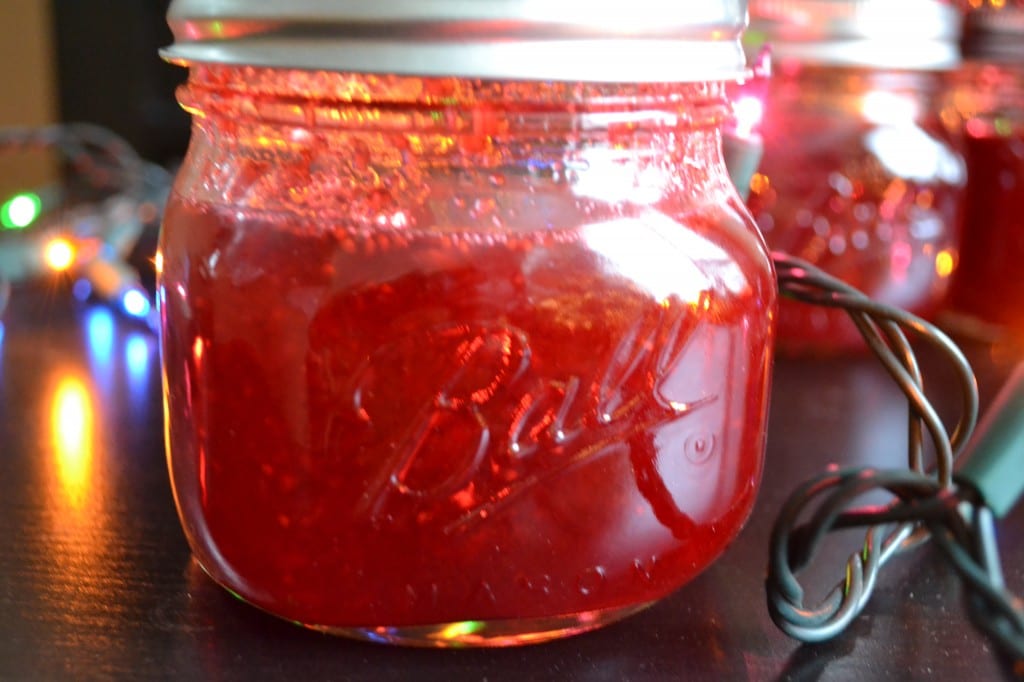 diy hostess/holiday present: homemade cranberry orange liquor