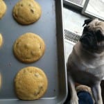 Mom’s Chocolate Chip Cookies