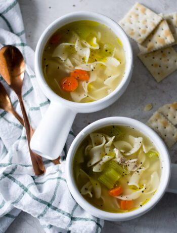 Easy Homemade Chicken Noodle Soup - Sarcastic Cooking