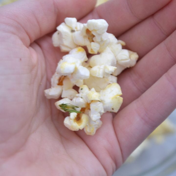 Dill Pickle Popcorn Sarcastic Cooking