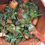 Spring Panzanella Salad