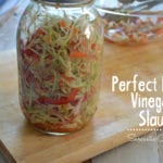 Perfect Picnic Vinegar Slaw