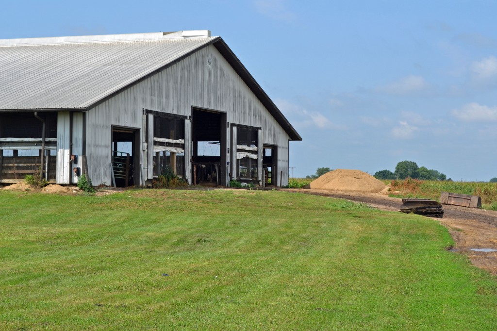 A Day In the Life: Dairy Farm Part One - Sarcastic Cooking