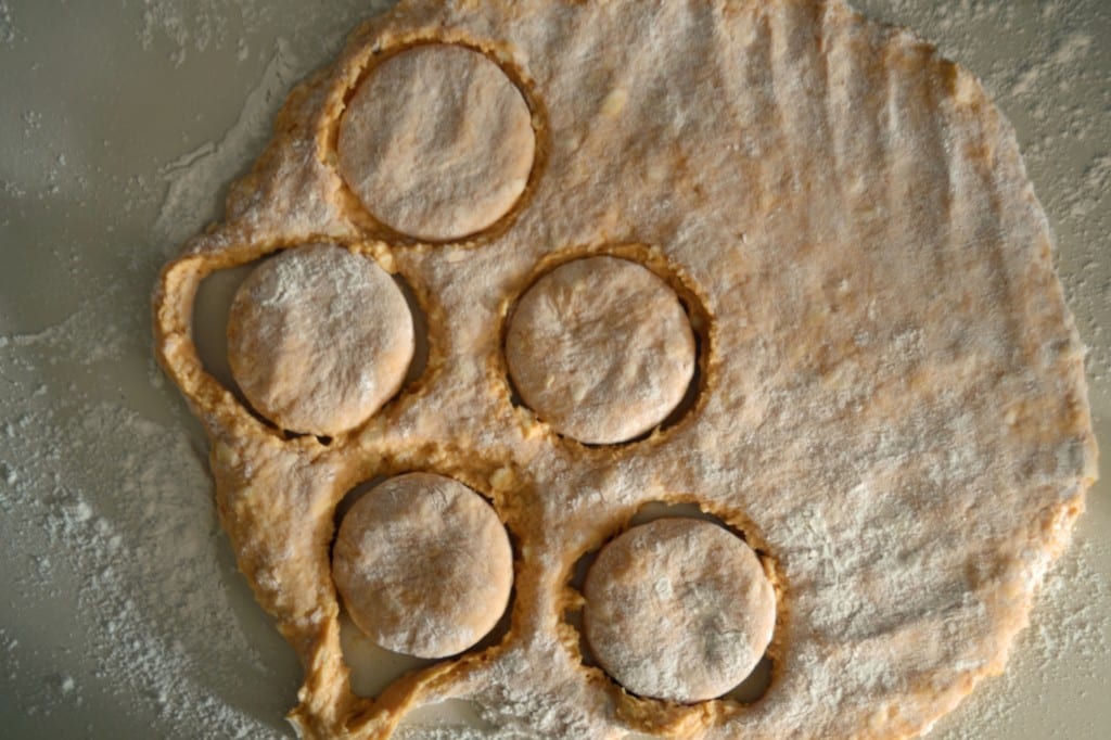 Sweet Potato Biscuit Dinner Roll Dough