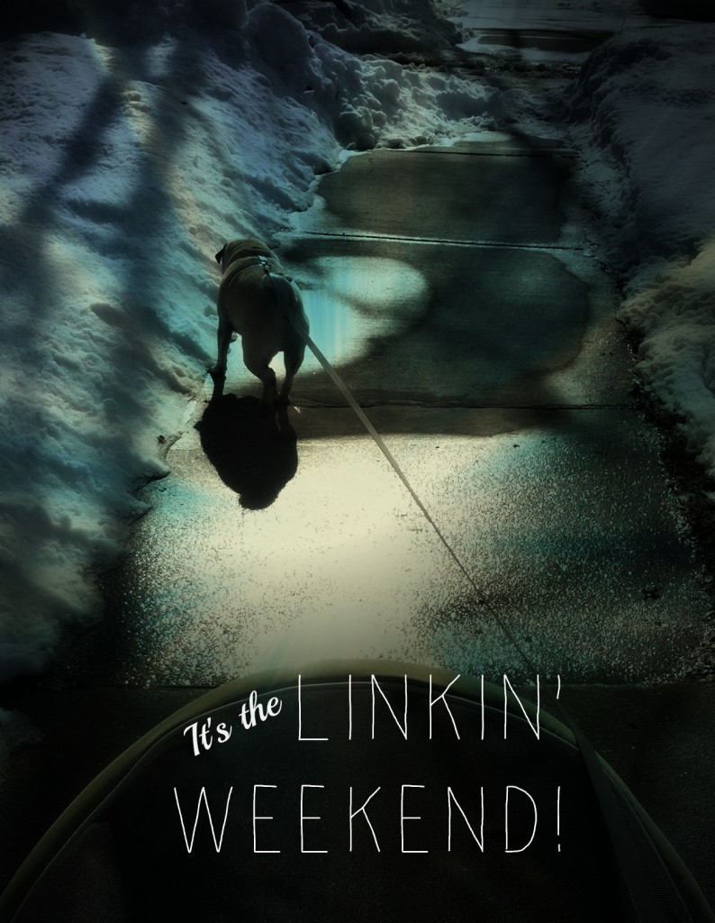 LINKIN' WEEKEND | Sarcastic Cooking