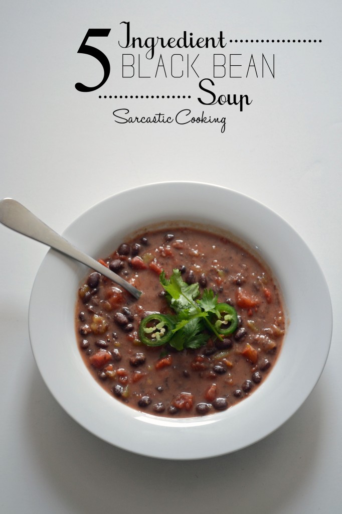 5 Ingredient Back Bean Soup - Sarcastic Cooking