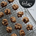 5 Ingredient Vegan Gluten Free Cookies