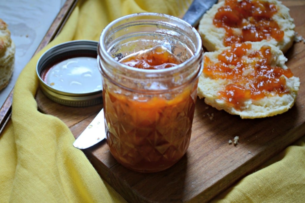 Peach and Nectarine Quick Jam | Sarcastic Cooking