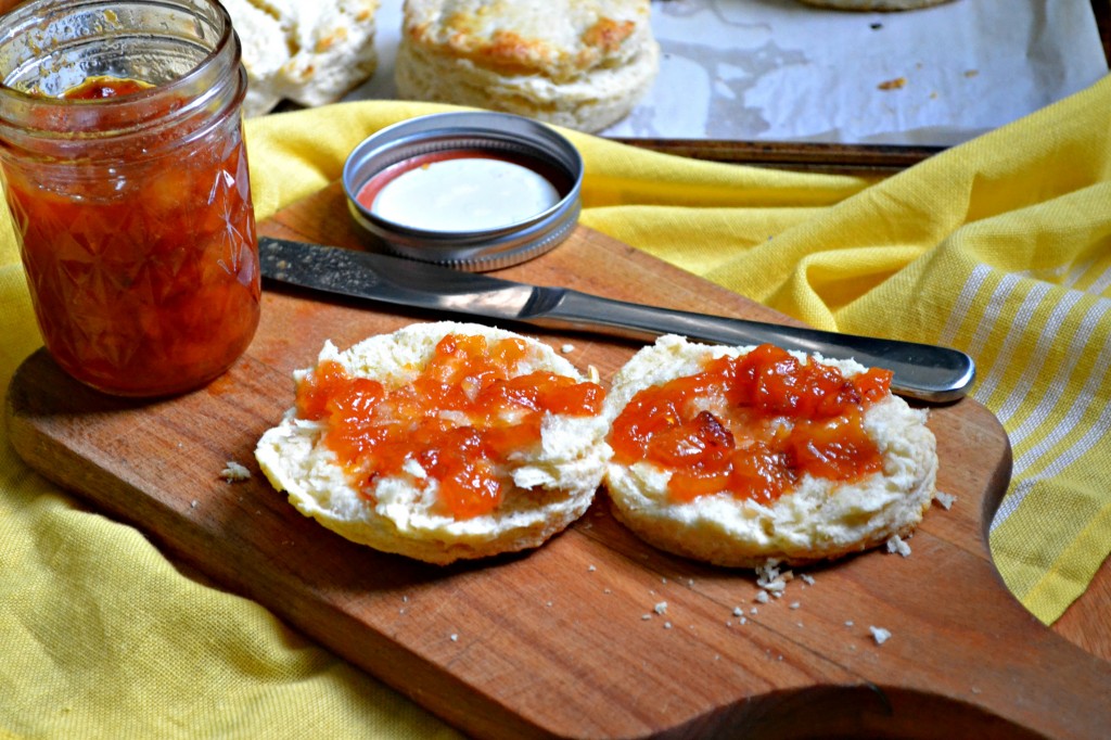 Peach and Nectarine Quick Jam | Sarcastic Cooking