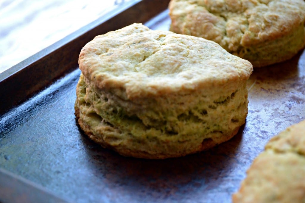 Arugula Pesto Biscuits  | Sarcastic Cooking