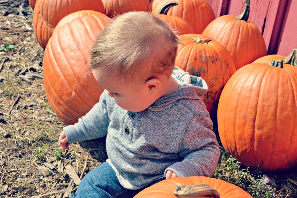 Andy and the Great Pumpkin