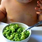 Totally Healthy Fake Out Spinach Avocado Mac and Cheese (for the little ones)