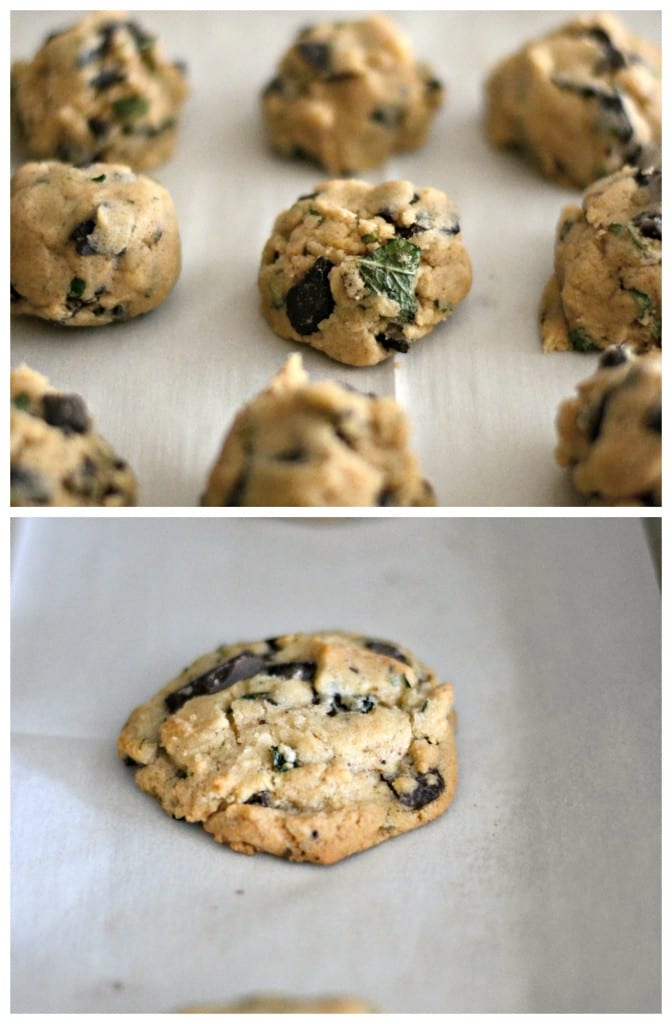 Fresh Mint and Dark Chocolate Cookies