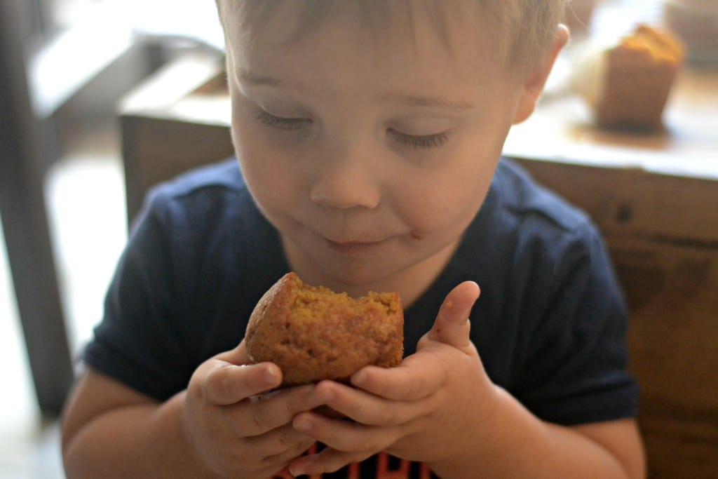 pumpkin cake cupcakes