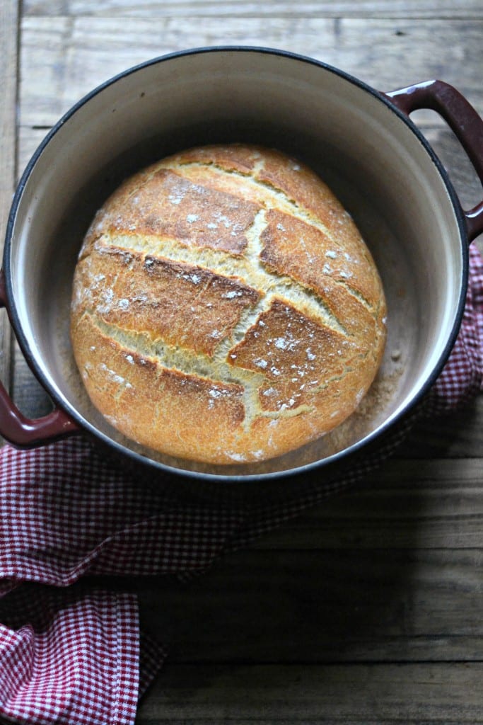 No Knead Pumpkin Beer Bread | Sarcastic Cooking