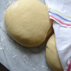 The Best Yeast Pizza Dough