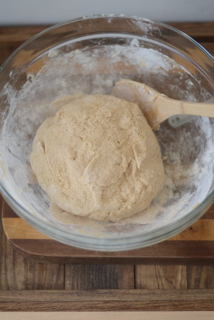 Shaggy No Knead Whole Wheat Pizza Dough