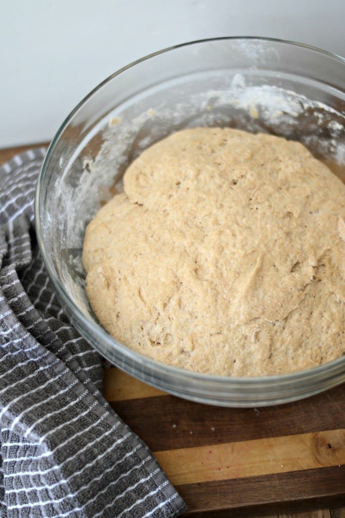 First Rise of the Whole Wheat Dough