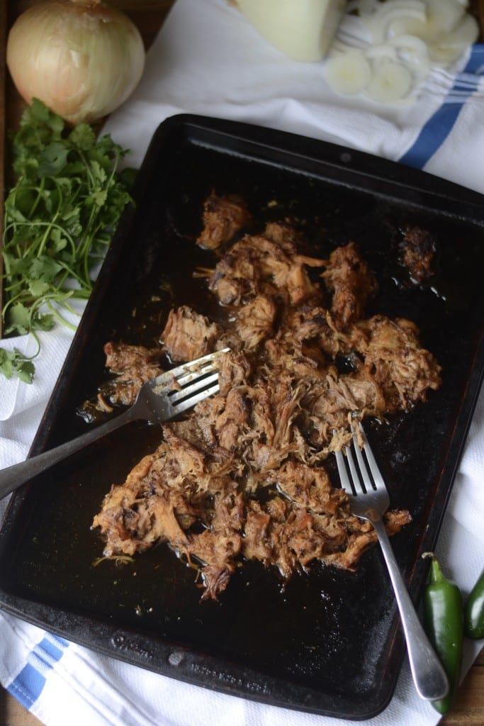 Crispy Slow Cooker Carnitas - Sarcastic Cooking