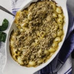 Butternut Squash Shells and Cheese