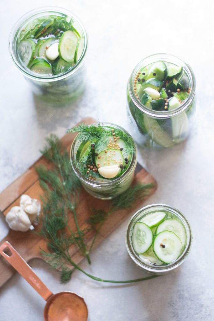 Easy Refrigerator Garlic Dill Pickles | Sarcastic Cooking