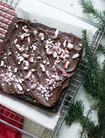 Peppermint Schnapps Brownies | Sarcastic Cooking