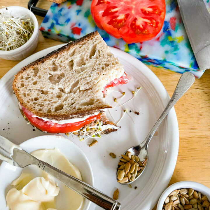 Sunflower seed and tomato sandwich | sarcastic cooking